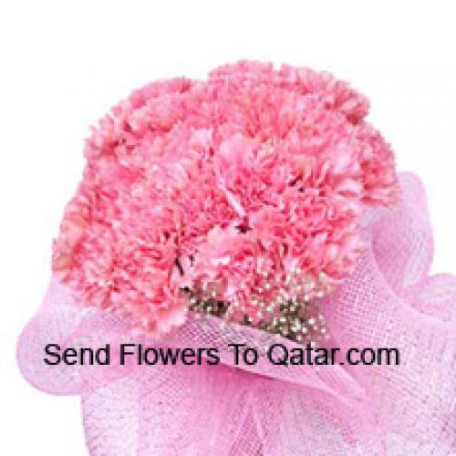 Cute 24 Pink Carnations