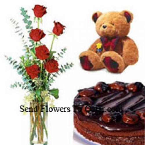 6 Red Roses with Chocolate Cake and Teddy