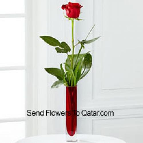 Cute Single Red Rose