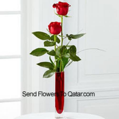 2 Sweet Red Roses in Vase