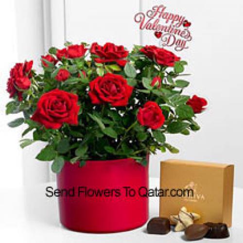 24 Red Roses with Yummy Godiva Chocolates